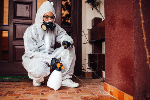 Reliable Cockroach Control contractor in Hayfield, VA by Nex Pest Control